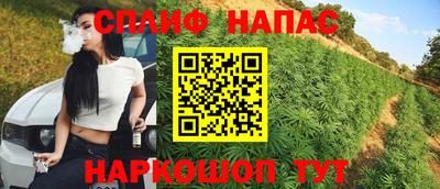 Альфа ПВП Нальчик