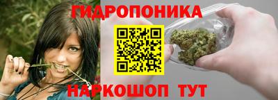 Альфа ПВП Нальчик