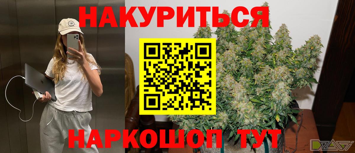 Канабис White Widow Россия